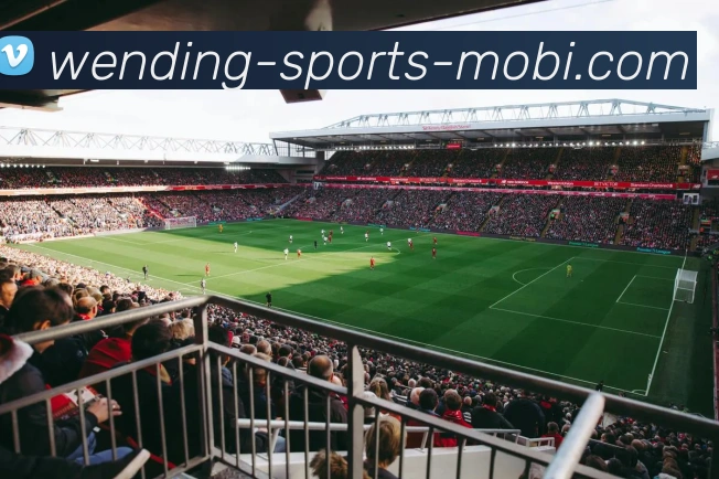 问鼎娱乐服务体系